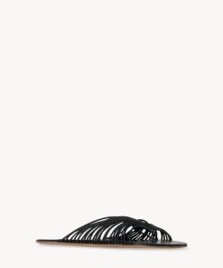 Sarahitaybron.shopc3a9d6be1b 2